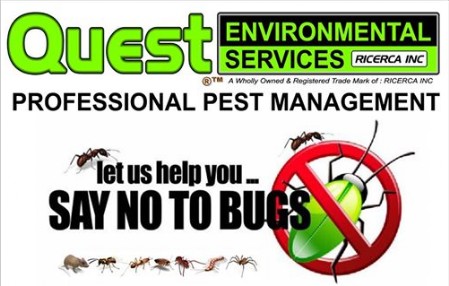 Quest Logo - Say No To Bugs